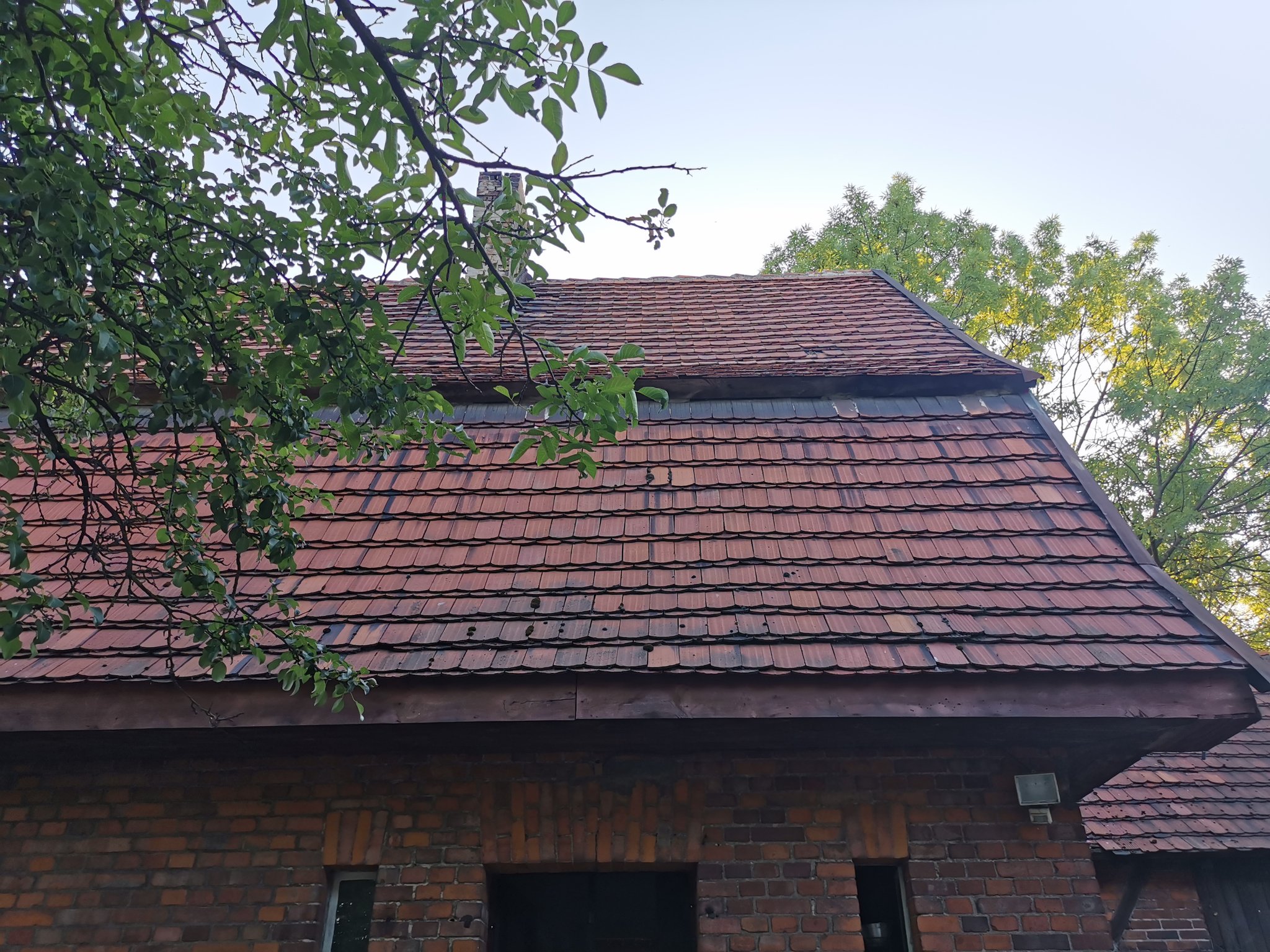 Stare pokrycie dachu widziane z ogrodu